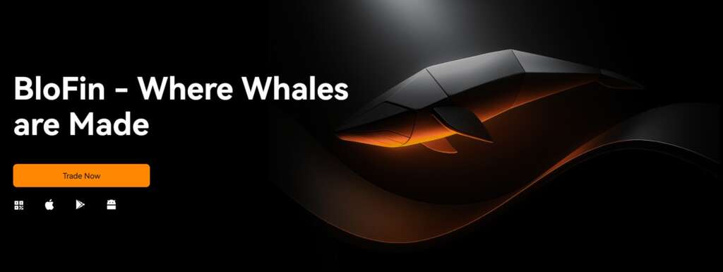 blofin exchange resena